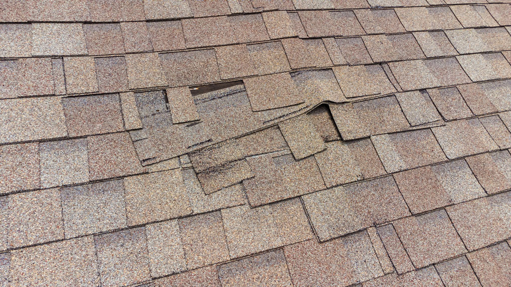 Image of visible roof damage on a shingle roof