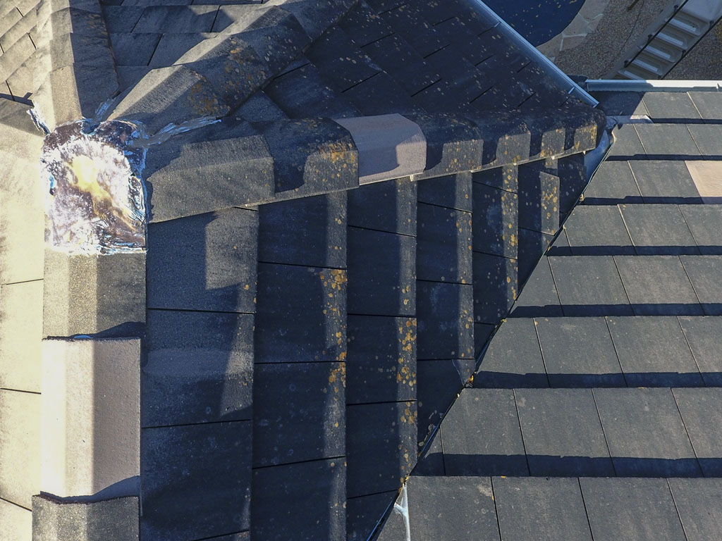 Image of mold or algea growning on a asphalt shingle roof